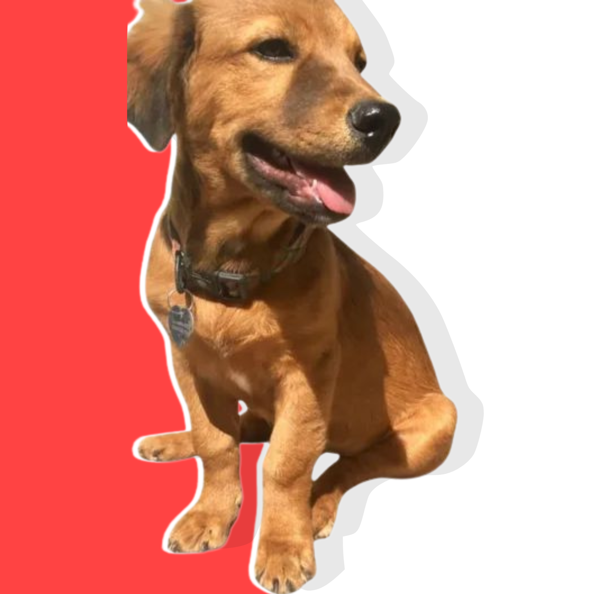 Tobby